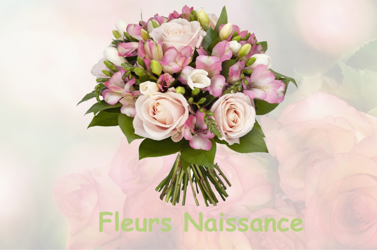 fleurs naissance MARCILLAC-LA-CROISILLE